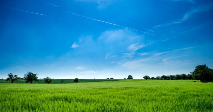 panoramic photography of green field